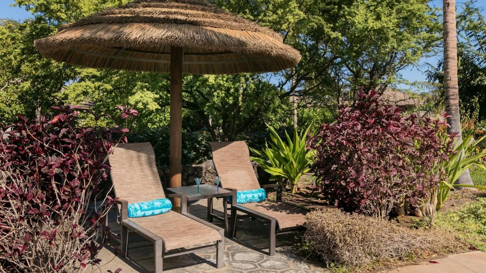 Semesterbostad Endless Summer Elegant Kamilo Home With Heated Pool And Guest Cottage Waikoloa