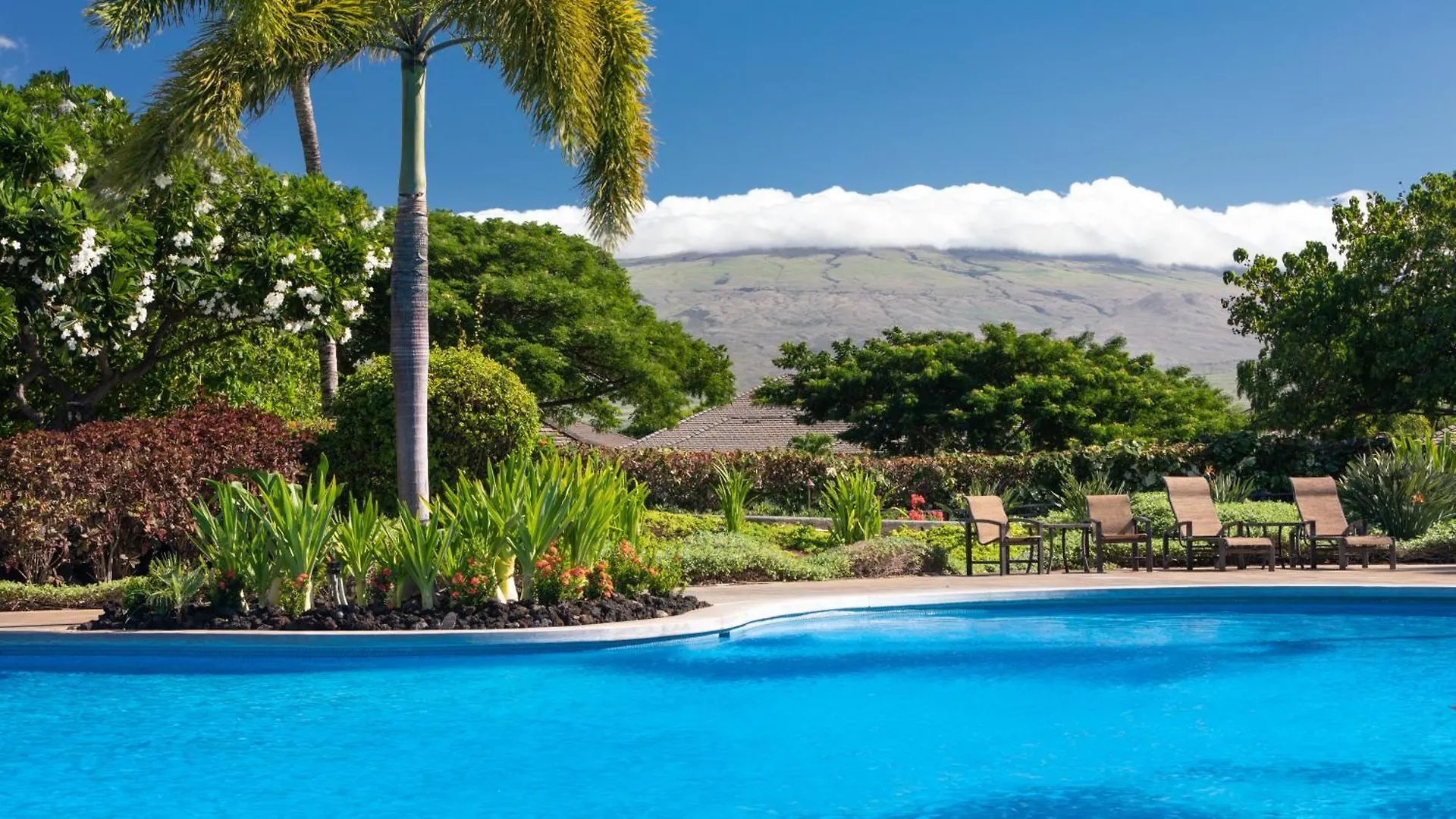 Endless Summer Elegant Kamilo Home With Heated Pool And Guest Cottage Waikoloa 0*,