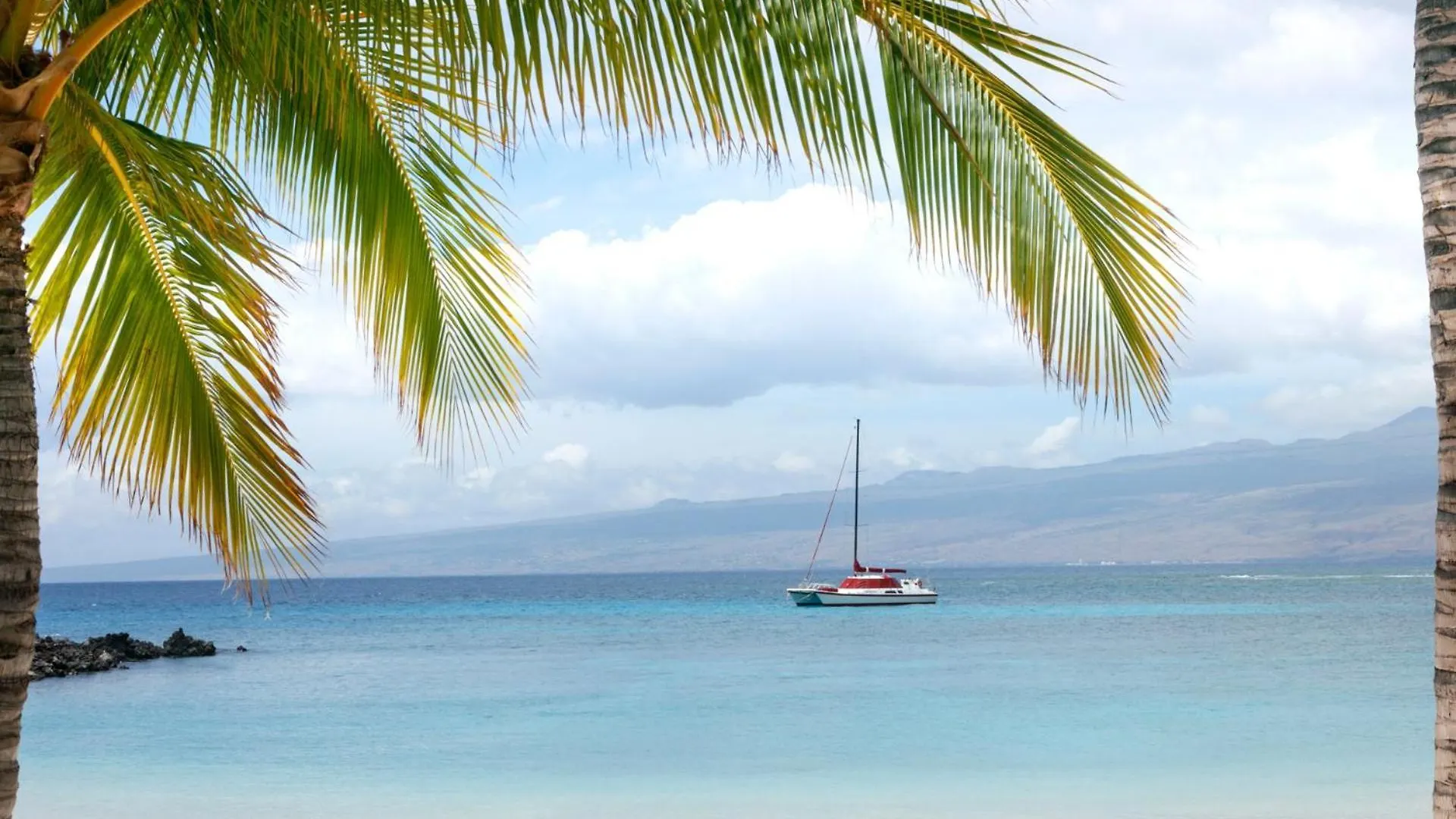 Semesterbostad Endless Summer Elegant Kamilo Home With Heated Pool And Guest Cottage Waikoloa USA