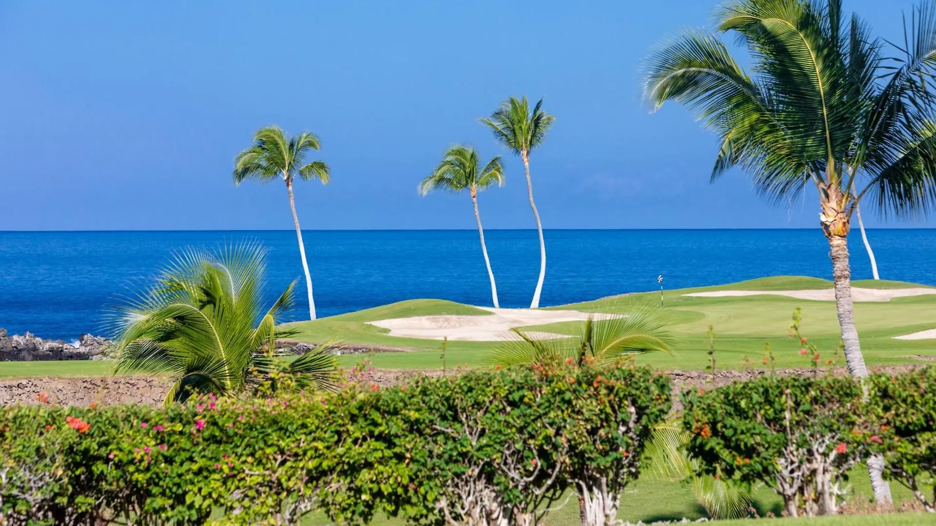 Semesterbostad Endless Summer Elegant Kamilo Home With Heated Pool And Guest Cottage Waikoloa