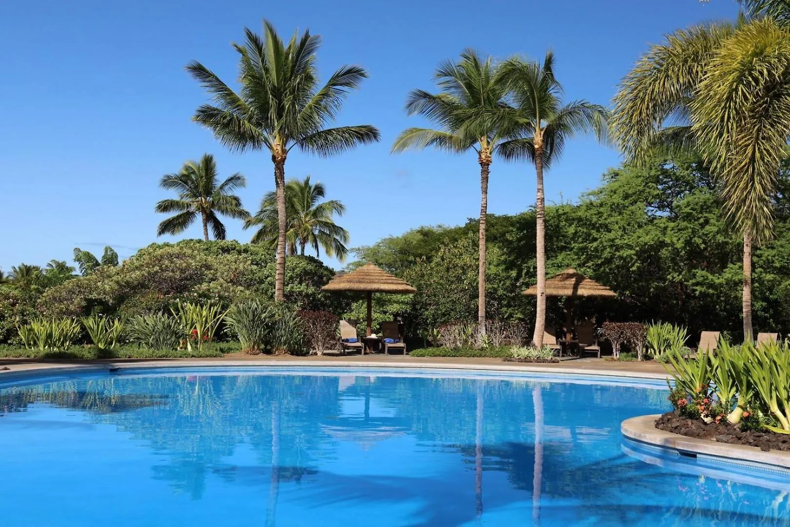 Semesterbostad Endless Summer Elegant Kamilo Home With Heated Pool And Guest Cottage Waikoloa USA